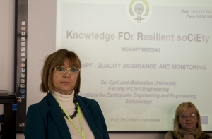 Meri Cvetkovska, Ss. Cyril and Methodius University in Skopje